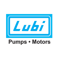 Lubi Pumps